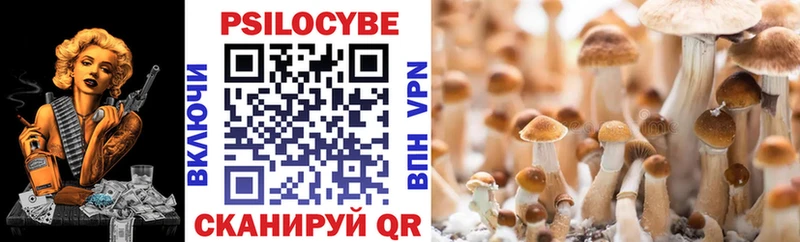 Псилоцибиновые грибы прущие грибы  Купить  Рославль 